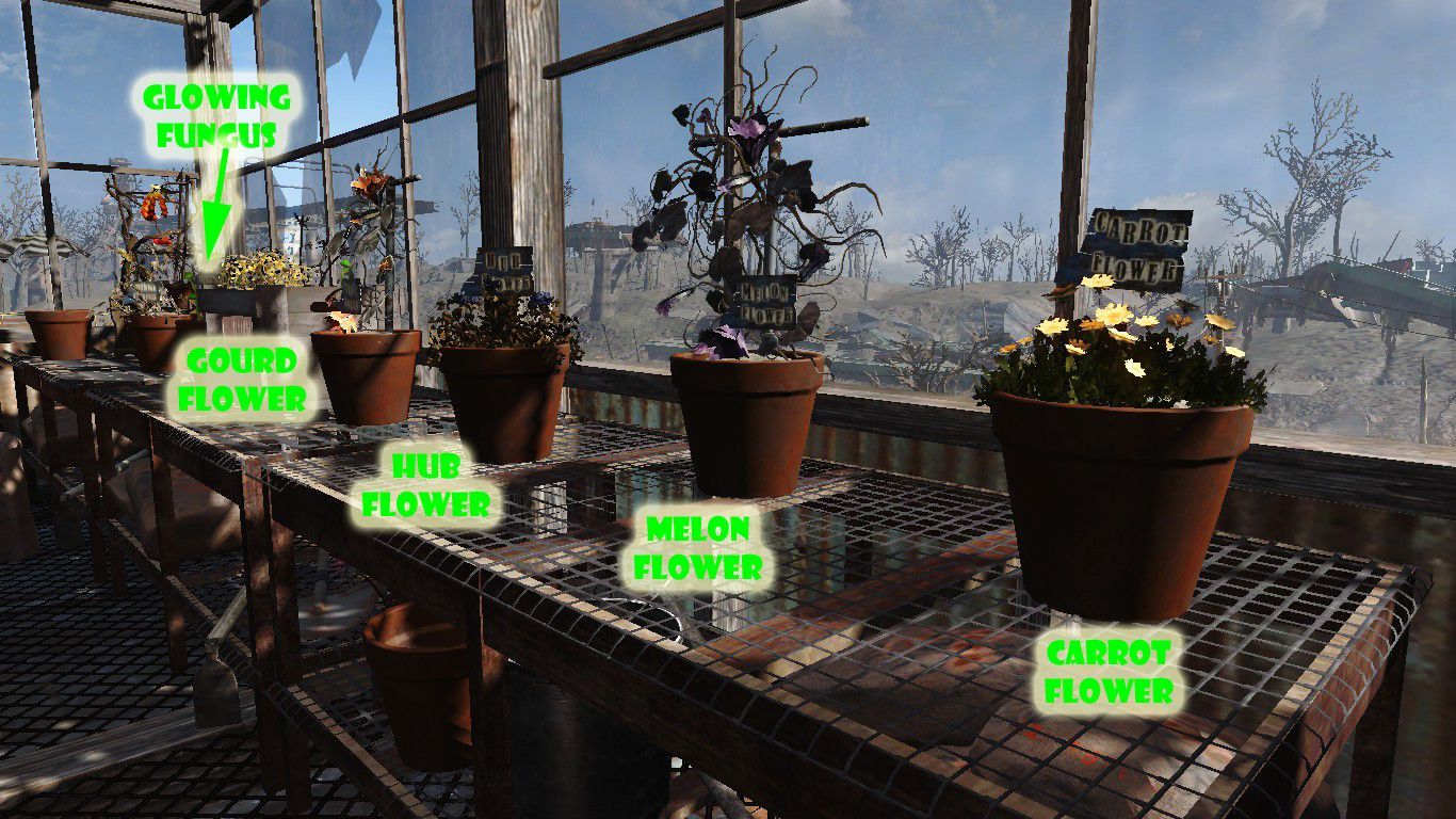 Fallout 4 семена для посадки фото 4